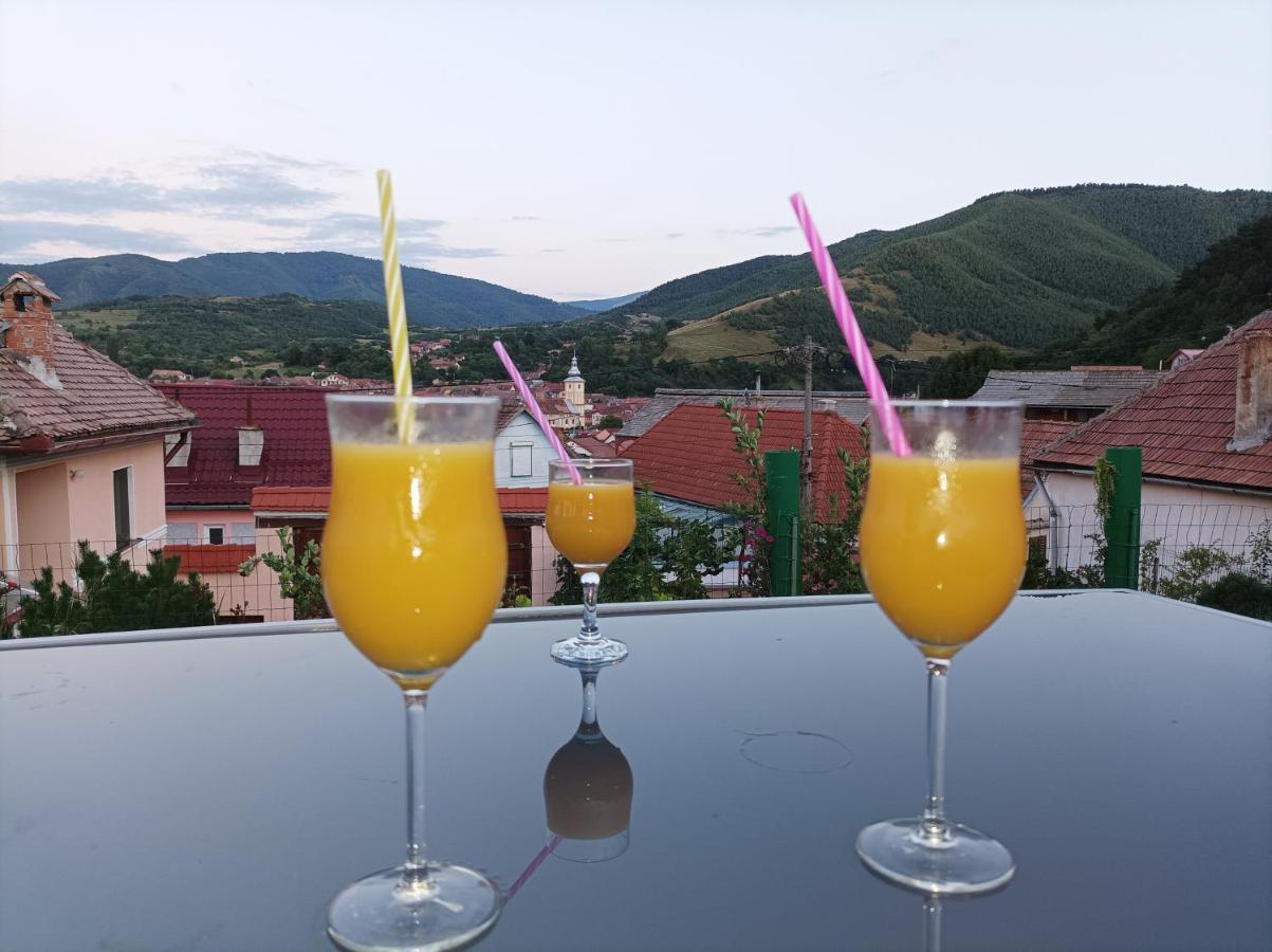 Apartament Panoramic La Casa In Comuna Răşinari Kültér fotó